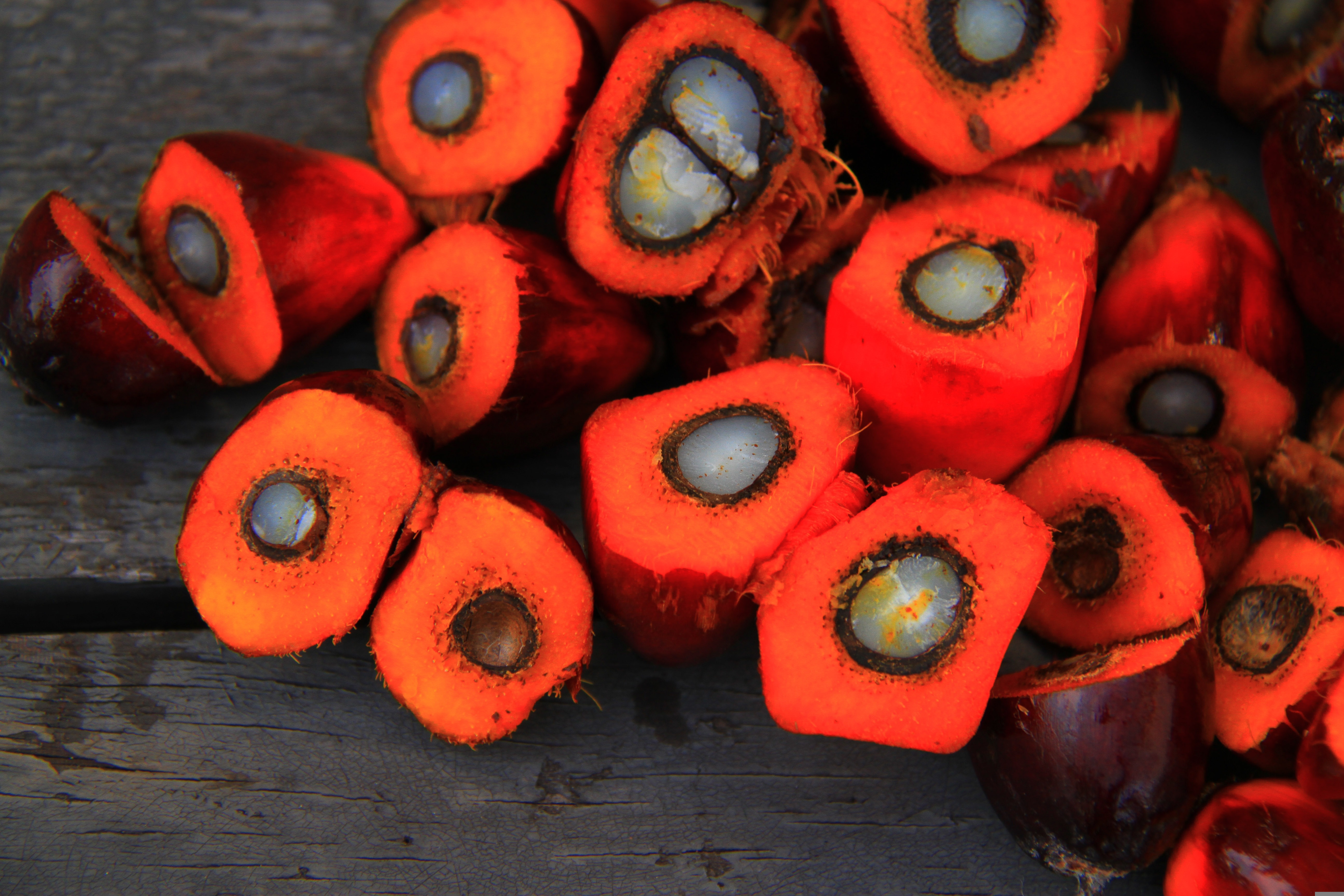 Palm oil trade news